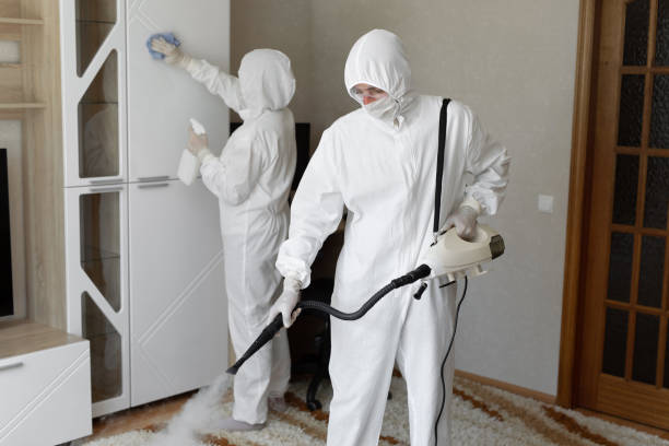 Professional Mold Removal in Lauderhill, FL